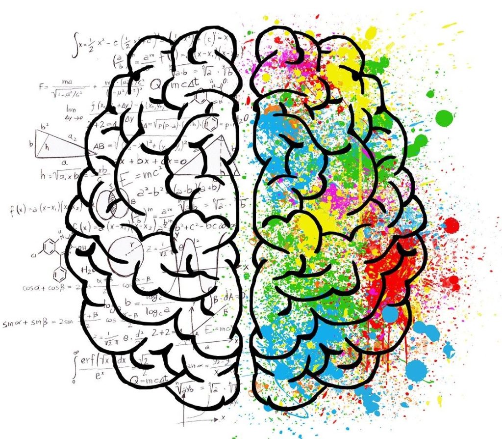 creativity shown as half brain with math half brain with colors